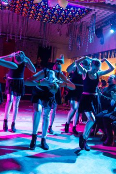 Bild 273 - Latuff 21014 die Wiemersdorfer Karnevalsveranstaltung